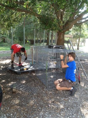 Volunteers and Interns prepare cages for a rescue we are helping