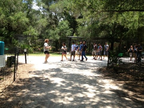 Visitors enjoy the shady paths and knowledgable tour guides