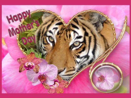 Happy Mothers Day Tiger 2012