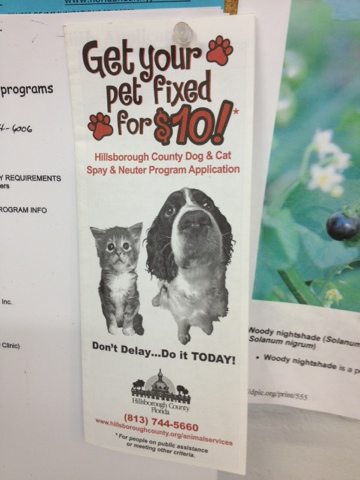 Get your pet fixed for $10.00