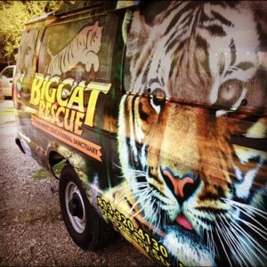 Big Cat Rescue van in action