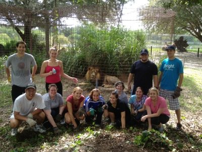 The RNC staff spent a workday at Big Cat Rescue  Today at Big Cat Rescue June 30 20120630 101754
