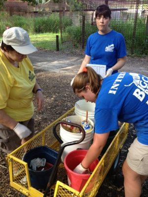 Our more senior Keepers teach new volunteers and interns the ropes