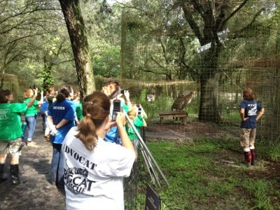 AdvoCats, Interns, Volunteers and Campers watch enrichment