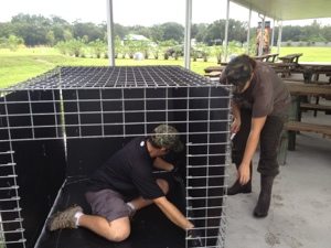 Jamie and Justin modify a transport cage