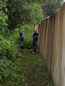 Interns clean brush away from outside perimeter wall