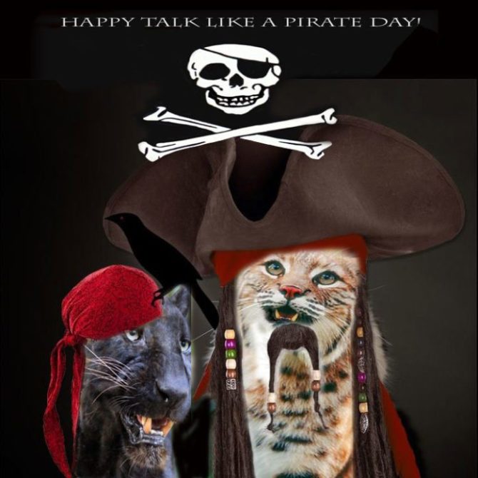 Today at Big Cat Rescue Talk Like a Pirate Day TalkLikeAPirateDay