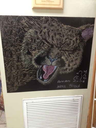 Volunteers use every flat space to express their creativity  Today at Big Cat Rescue Jan 8 2013 20130108 195212