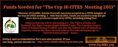 Sybelle Foxcroft  Cop 16 CITES