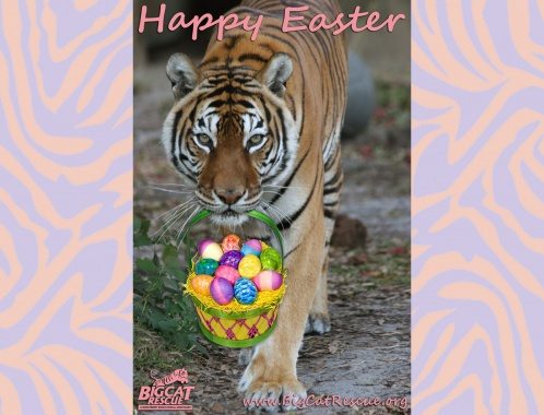 Tiger Easter Egg Basket