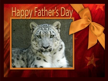 Fathers Day Card Snow Leopard