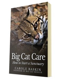 Big Cat Care Book Cover  2014 Annual Report big cat 3d