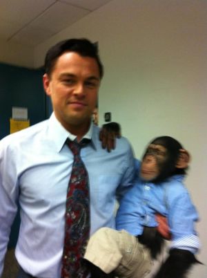 Leonardo-DiCaprio-Chimp