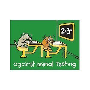 animal testing  Today at Big Cat Rescue Dec 6 2013 animaltesting