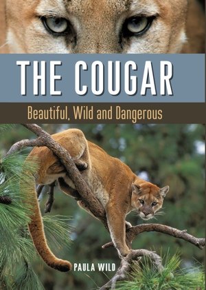 Cougar by Paula Wild Cover