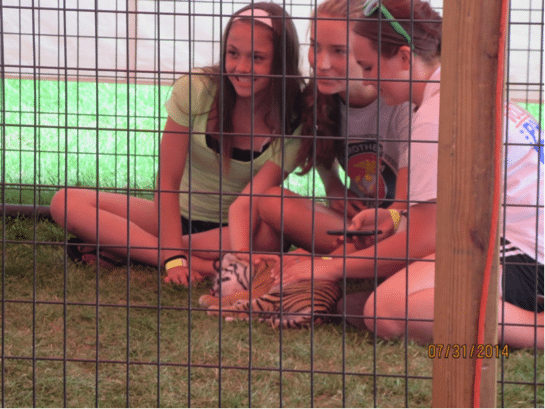 Mississippi Fair Tiger Cub Abuse