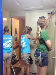 Volunteers-Painting-Giftshop-04  Now at Big Cat Rescue Sept 8 2014 Volunteers Painting Giftshop 04