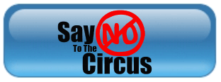 No Circus Kids  Circus ButtonNoCircusKids