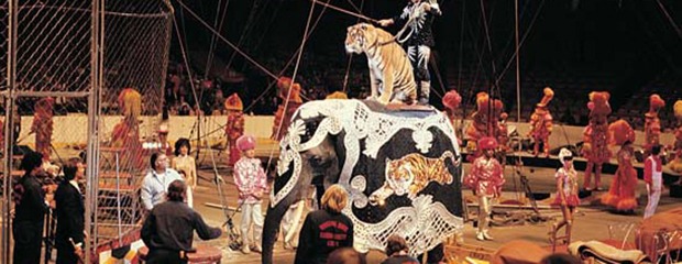 Circus Acts Are Inherently Cruel