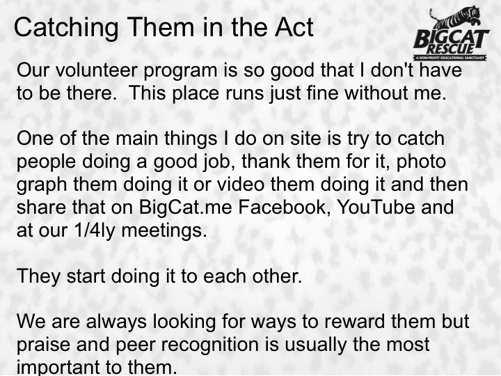 Slide15  Volunteer Management Slide15