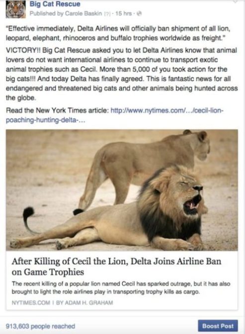 Delta bans lion trophy shipments