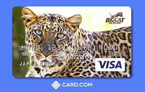 CARD-BCR-Web-Ad_Mar2016_300x191