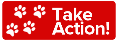 Take Action button  Do I smell Monday? TakeActionBCRPawPrintsRed