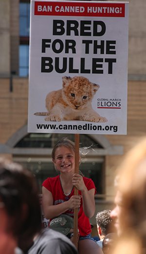 cites canned lion  Sept 25 2016 CITESCannedLion