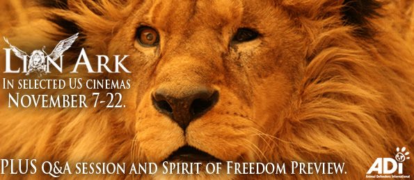lion ark movie  Nov 15 2016 LionArkMovie