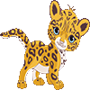 Jan 2 2017 cub leopard
