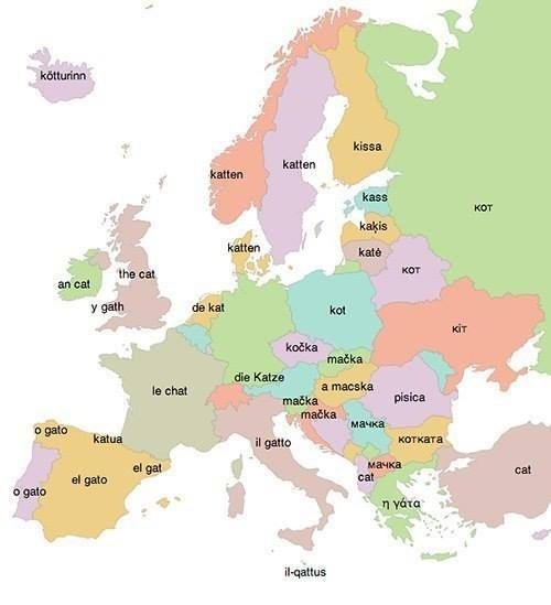 50 ways to say cat in Europe