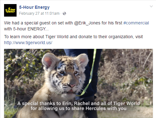Will you speak out for Hercules the Tiger Cub?