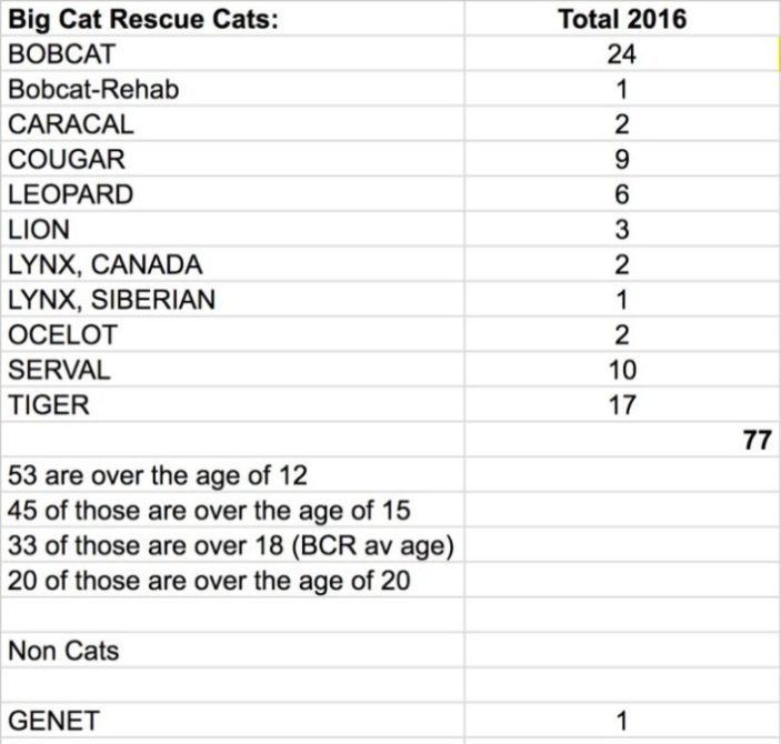 2016 Cat Census