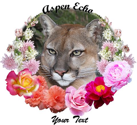 Aspen-Echo Puma Cougar