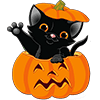 October 19 2017 pumpkin with cat 1a Sq100x100