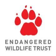 InSitu 2018 Insitu Endangered Wildlife Trust 6042227186316028 n