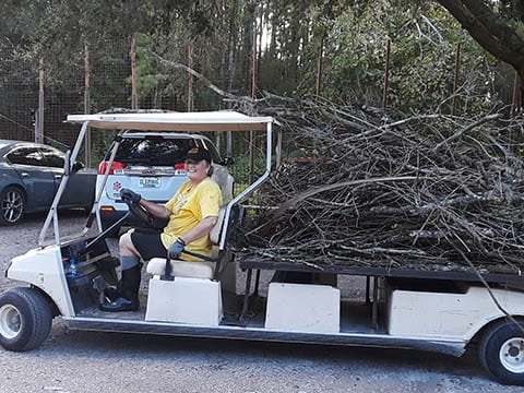 Barbara, our weekend stick picker upper loaded Gerty up to the top.  September 5 2018 40584401 242494283125344 2657855715590275072 o small