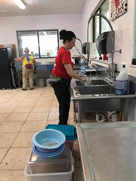 Volunteers at work  September 5 2018 v4 small