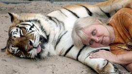 Does the US have a pet tiger problem? d19be8fc 9570 4dbb a528 5638ae54c954