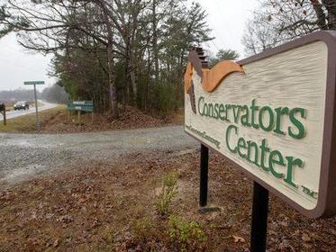 Deputies fired 8 gunshots to subdue lion after fatal attack at Caswell County facility | Local Business | greensboro.com 0c42a29e caf2 4170 a5ec 27c3c1476099