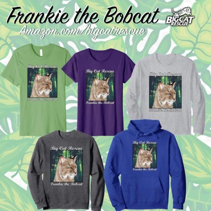 Frankie Bobcat now has his own line of merchandise
