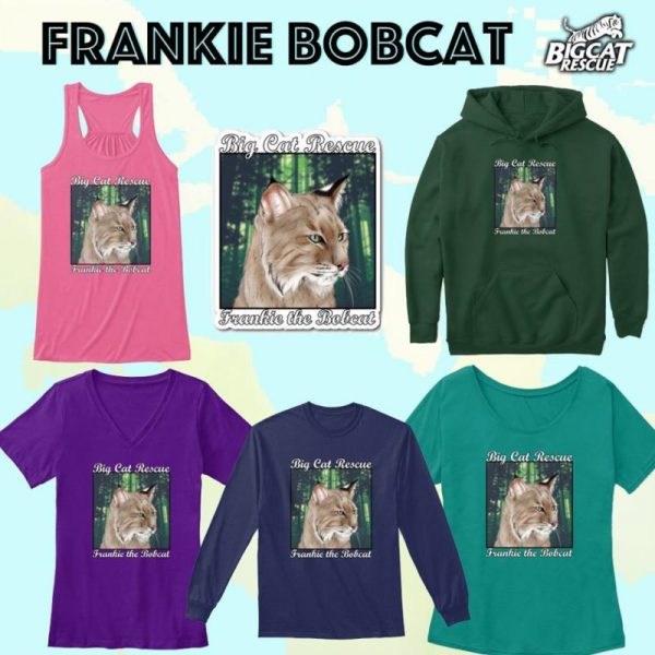 Show your love for Frankie Bobcat by purr-chasing Stickers, Mugs, Totes, and Clothing now available at Teespring! https://teespring.com/frankie-bobcat-graphic-collect