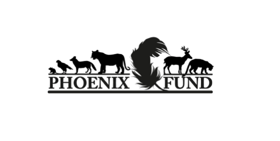 Phoenix-Fund-Amur-Leopard-Conservation-1  Insitu2019 Phoenix Fund Amur Leopard Conservation 1