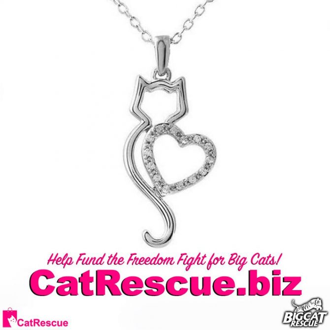Big Cat Rescue Merchandise  June 30 2019 65255500 10156180530326957 6374380471182163968 n