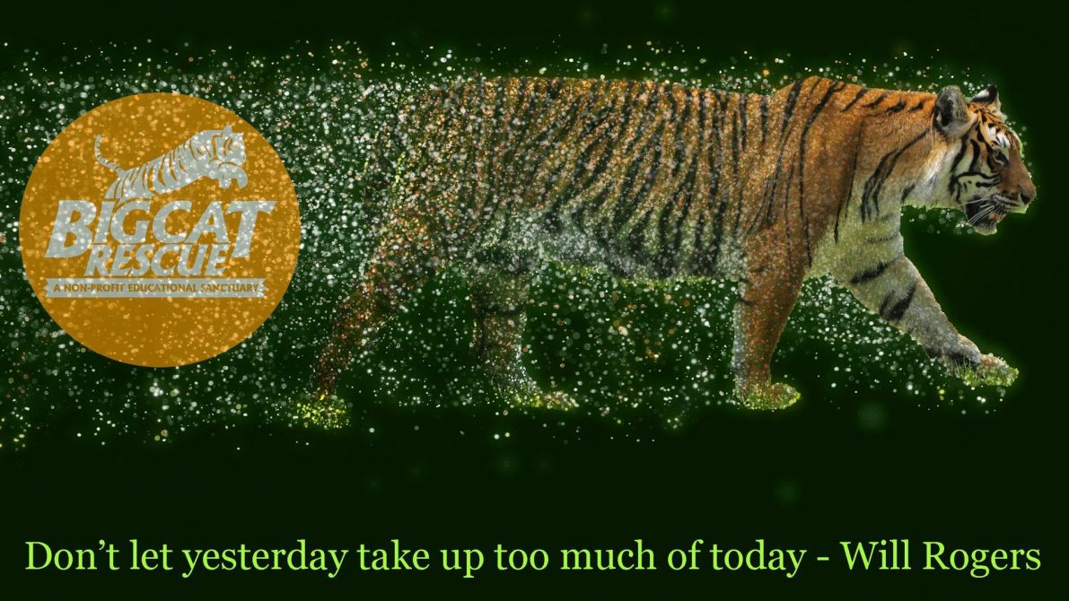 Memes and Quotes “Don’t let yesterday take up too much of today!”- Will Rogers