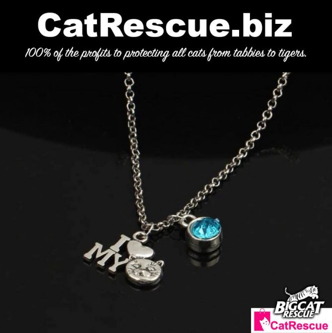 Big Cat Rescue Merchandise