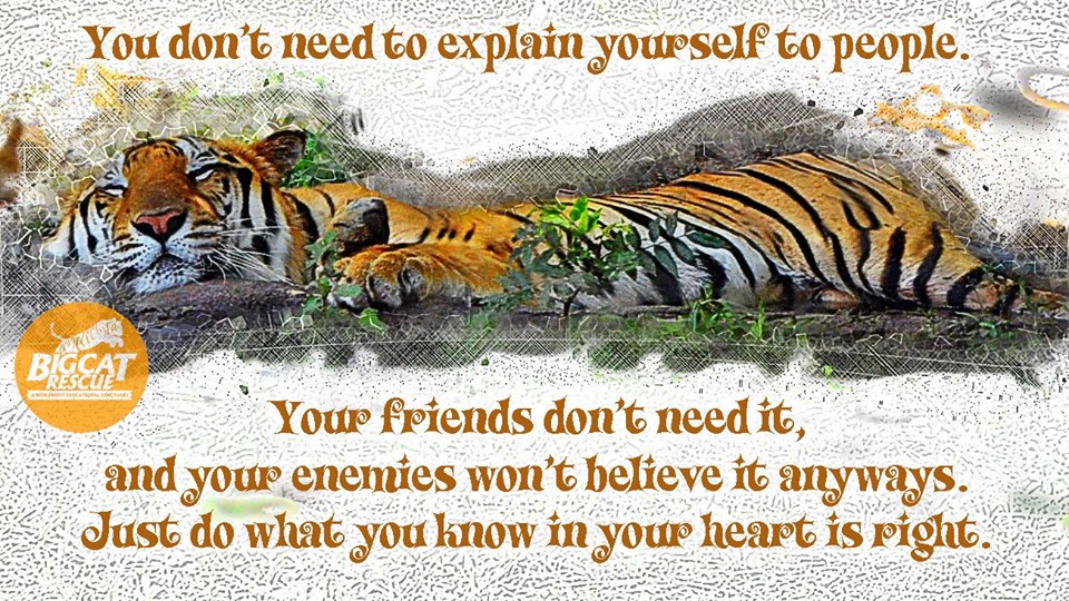 Memes and Quote of the Dat - “You don’t need to explain yourself to people. Your friends don’t need it, And your enemies won’t believe it anyways. Just do what you know in your heart is right.”