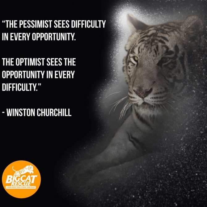 Memes and Quote of the Day “The pessimist sees difficulty in every opportunity. The optimist sees the opportunity in every difficulty” ~Winston Churchill