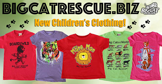 Big Cat Rescue Merchandise  November 14 2019 74216776 10156521747541957 3768526712078336000 o