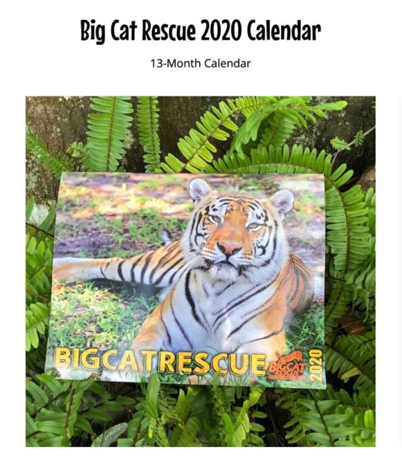 Big Cat Rescue Merchandise